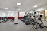 Hilton Garden Inn Ithaca - Gym