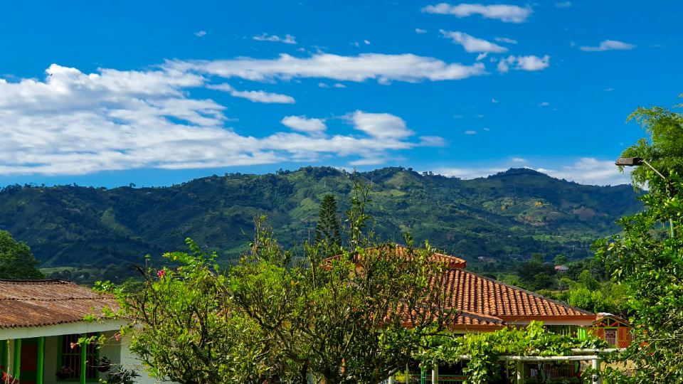 Tree House Finca la Floresta Verde