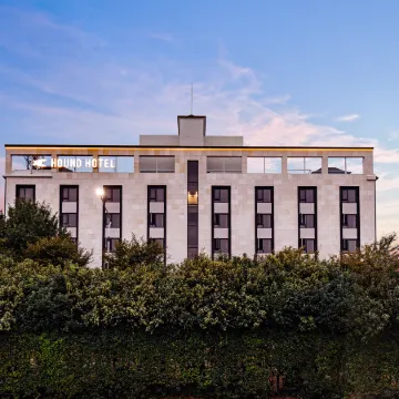 Daegu Dongchon Amusement Park Hound