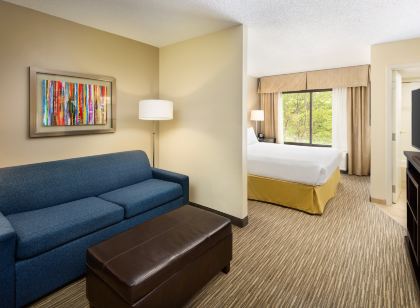 Holiday Inn Express & Suites Alpharetta - Windward Parkway