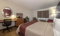 Sycamore Suites