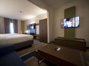 Holiday Inn Express & Suites Lexington-Downtown/University