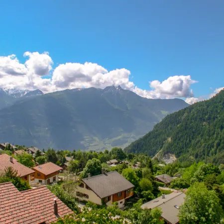 Hauts de Morthey No 33