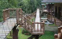 Safari Resort