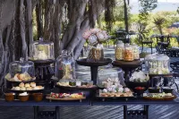 Bushmans Kloof Wilderness Reserve and Wellness Retreat - breakfast