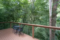 Kondalilla Eco Resort Hotels in Montville