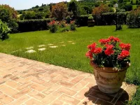 Agriturismo Podere Caggiolo - Swimming Pool & Air Conditioning Hotels in der Nähe von Santuario Madonna Della Querce