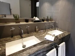 파빌리온 리젠트 프티 프랑스