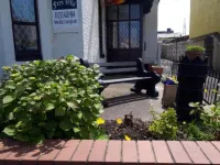 Fern Villa Hotel - Albert Road Hotels in 