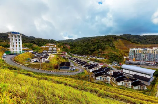 金馬倫自然森林15號酒店