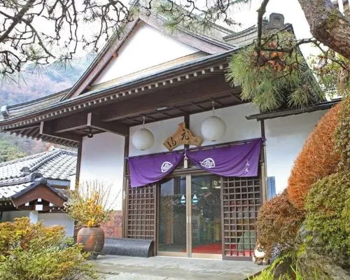 Motoyu Ryokan Atsugi Iiyama Onsen Hotels in Atsugi