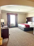 Comfort Suites Texas Ave