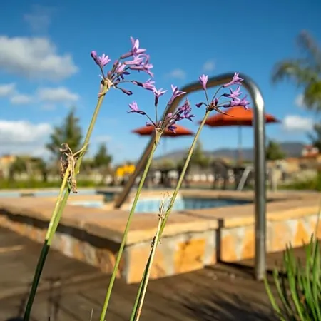 Hacienda Los Olivos, Valle de Guadalupe