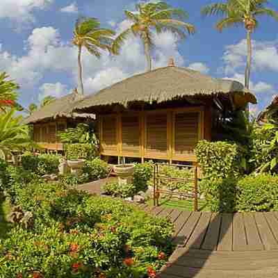 Manchebo Beach Resort and Spa Hotel Exterior