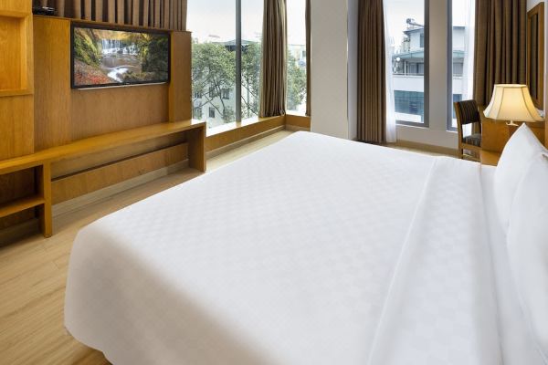 에덴스타 사이공 호텔 & 스파(EdenStar Saigon Hotel & Spa)_3