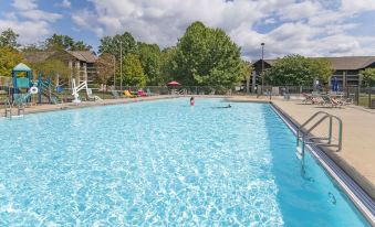 a swimming pool surrounded by buildings , with people enjoying their time in the water and on the sand at Dale Hollow Lake State Resort Park