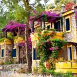Symbola Oludeniz Beach Hotel Hotels in Ölüdeniz Mahallesi