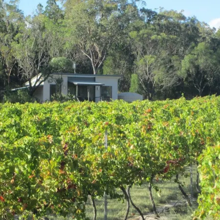 Clever Kid Wines Vineyard Cottages