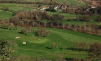 a bird 's eye view of a golf course with trees and houses in the background at King's Arms
