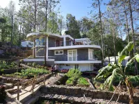 Wow Bison Woods Resort Yercaud