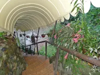 Mountain Lodge Hotel and Restaurant - Inns