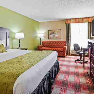 Best Western Plus Addison/Dallas Hotel Rooms