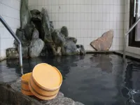 Tara Kanko Hotel - Hot Springs