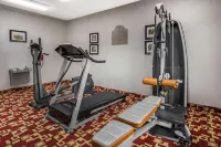 Comfort Inn & Suites - Gym