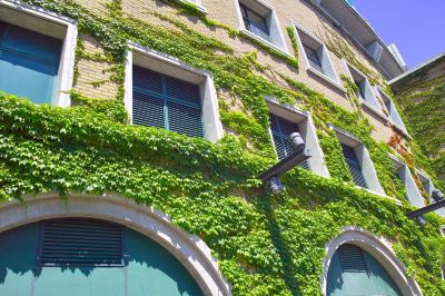 施設外観 ホテルヒューイット甲子園の写真