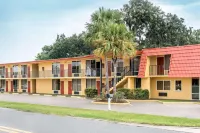 Econo Lodge Hotels in Live Oak