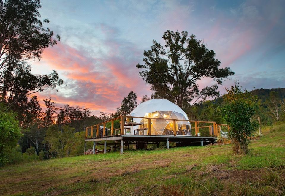 a wooden deck with a white dome - shaped structure is surrounded by trees and grass , with a pink and orange sky in the background at Nature Domes