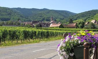 Hôtel Berceau du Vigneron