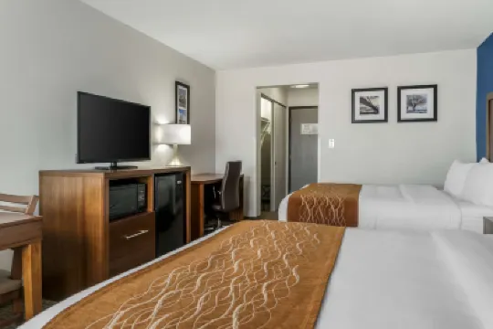Comfort Inn East Hotels near 20 North Gallery