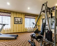 Comfort Inn & Suites Lawrence - University Area - Gym