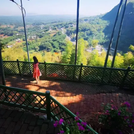 Bamboo Grove Courtyard Hainan's Home Homestay