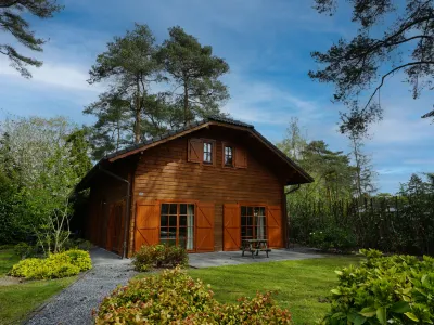Boekhorst l'Etage 12