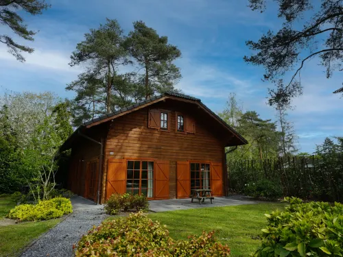 Boekhorst l'Etage 12