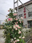 Youjia Chinese Inn (Huashan Scenic Area Yuquan Courtyard) Hotel di 