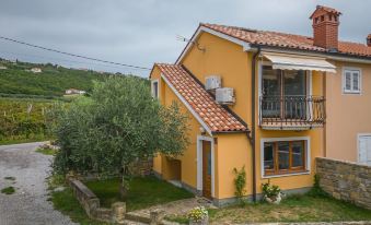 House in the Vineyards - Happy Rentals