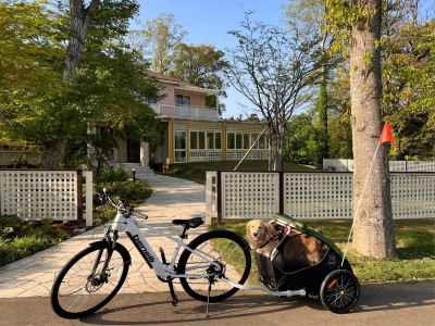 ホテル周辺 小谷流の里 ドギーズアイランドの写真