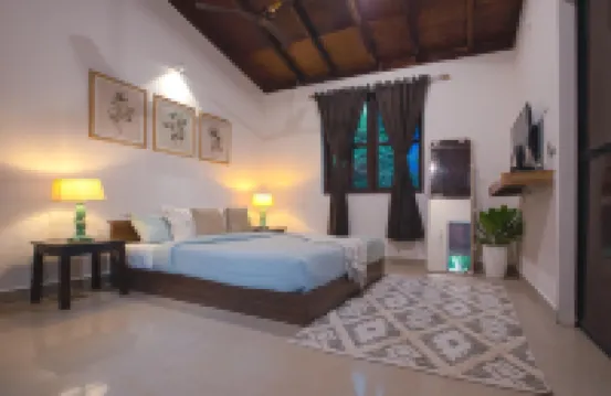 Woodpegger by the Beach, Mandrem