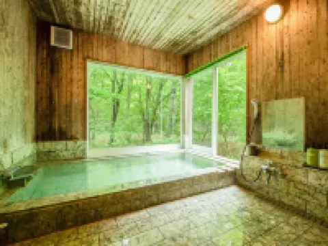 Spa Pension Mary King's Hotels in Tenei