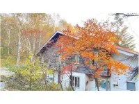 Petite Pension Green Grass