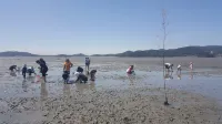 Taean Mom Village Caravan Camping