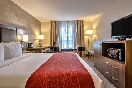 Comfort Inn & Suites South