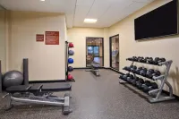 TownePlace Suites Detroit Belleville - Gym