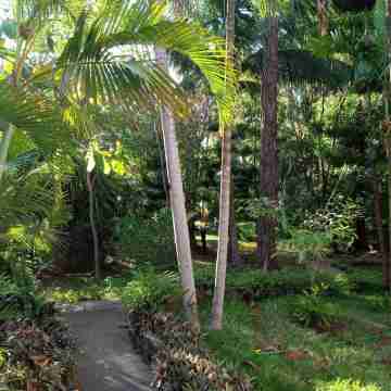 Dianistar Villa Hotel Exterior