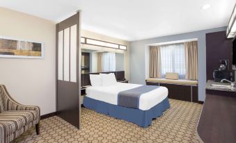 Microtel Inn & Suites by Wyndham San Angelo