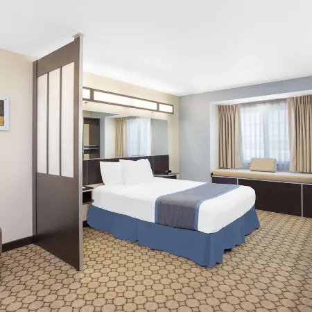 Microtel Inn & Suites by Wyndham San Angelo