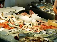 巴德 B&B 設計酒店 卡塔尼亞省酒店